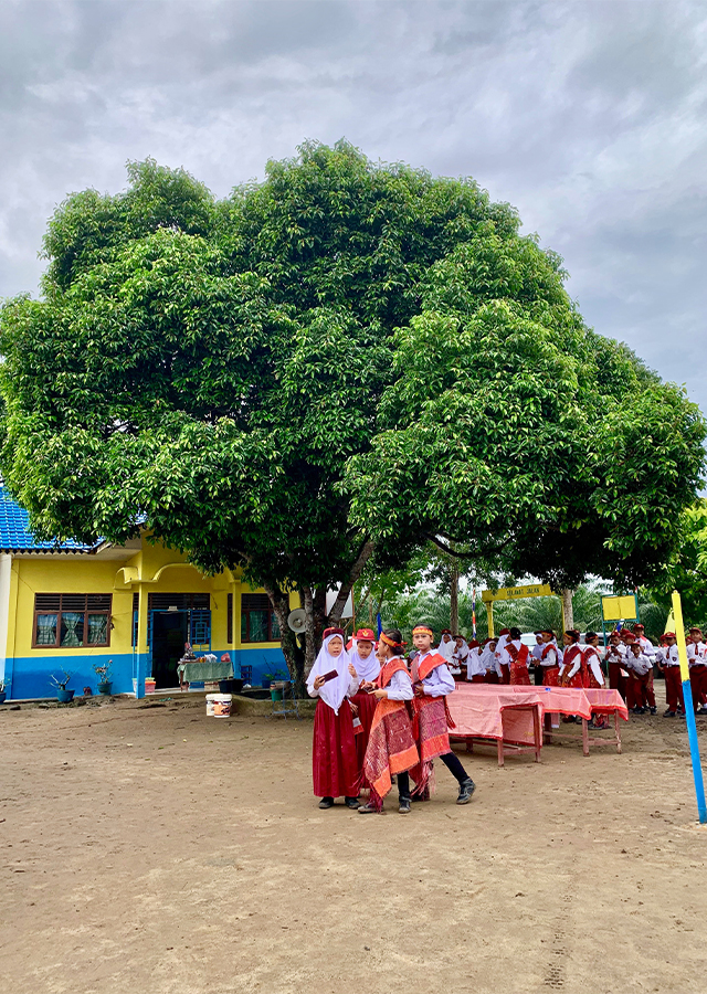 Penyebaran Bunga Tanjung