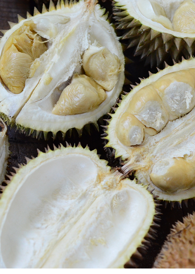 Penyebaran Durian